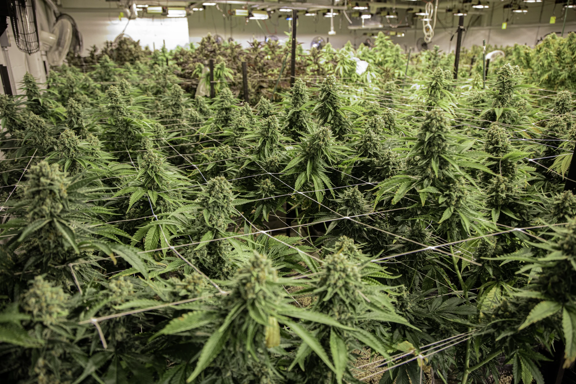 AdobeStock_475658414